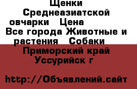 Щенки Среднеазиатской овчарки › Цена ­ 30 000 - Все города Животные и растения » Собаки   . Приморский край,Уссурийск г.